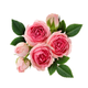 iStock